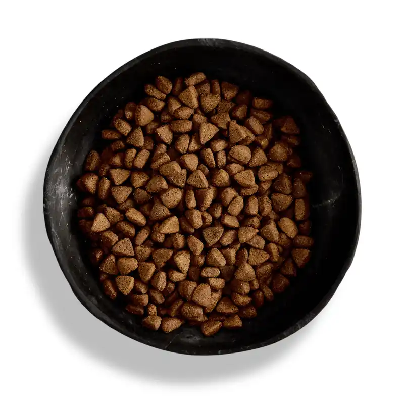 Neue Ware Sparpaket 2 x 12 kg Canagan Free Range Chicken All Breeds Hunde Trockenfutter